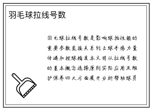 羽毛球拉线号数